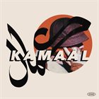 KAMAAL WILLIAMS Nights in Paris album cover