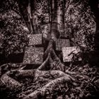 KAMASI WASHINGTON Harmony of Difference album cover