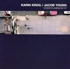 KARIN KROG Where Flamingos Fly (with  Jacob Young) album cover
