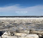 KAZE Kaze & Ikue Mori : Sand Storm album cover