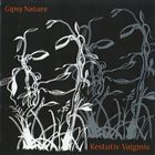 KĘSTUTIS VAIGINIS Gipsy Nature album cover