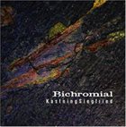 KEVIN KASTNING Kastning Siegfried:  Bichromial album cover