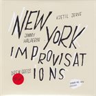 KJETIL JERVE Kjetil Jerve, Jimmy Halperin, Drew Gress ‎: New York Improvisations album cover