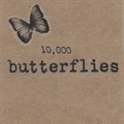 LENI STERN 10,000 Butterflies album cover