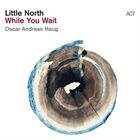 LITTLE NORTH While You Wait album cover