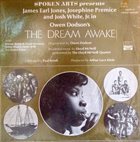 LLOYD MCNEILL The Dream Awake album cover