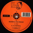 LTJ BUKEM Bukem  & The Peshay : 19.5 album cover