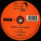 LTJ BUKEM Bukem  & The Peshay : 19.5 album cover