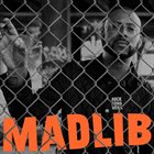 MADLIB Rock Konducta Pt. 1 & 2 album cover