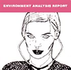 MANUEL MOTA Environmental Analysis Report album cover