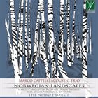 MARCO CAPPELLI Norwegian Landscapes album cover