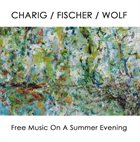 MARK CHARIG Charig / Fischer / Wolf : Free Music On A Summer Evening album cover