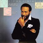 MARVIN GAYE Motown Remembers Marvin Gaye album cover