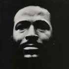 MARVIN GAYE Vulnerable album cover