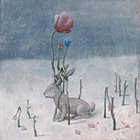 MATT ULERY Loom: Flora. Fauna. Fervor. album cover