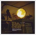 MATTHIEU DONARIER Matthieu Donarier & Albert van Veenendaal's Planetarium : The Visible Ones album cover