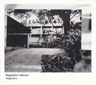 MEGALODON COLLECTIVE Megalodon album cover