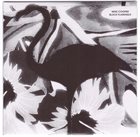 MIKE COOPER Black Flamingo album cover