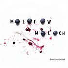 MOLOTOW MOLOCH QUARTET Enter The Avoid album cover