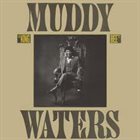MUDDY WATERS King Bee album cover