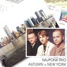 NAJPONK Autumn In New York album cover