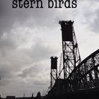 NATHAN CLEVENGER Stern Birds album cover