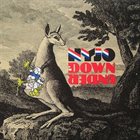 NATIONAL YOUTH JAZZ ORCHESTRA NYJO Down Under album cover