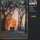 NEW YORK UNIT Akari album cover