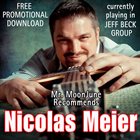 NICOLAS MEIER Mr. MoonJune Recommends: Nicolas Meier album cover