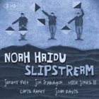 NOAH HAIDU Slipstream album cover