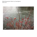 NORBERT RODENKIRCHEN Norbert Rodenkirchen / Robbie Lee / James Ilgenfritz : Opalescence album cover