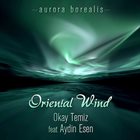 OKAY TEMIZ Okay Temiz feat Aydın Esen : Aurora Borealis album cover