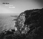 OLIE BRICE Trio / Octet : Fire Hills album cover