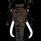 PALM UNIT Don't Buy Ivory Anymore! The Music of Henri Texier album cover