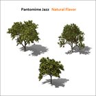 PANTOMIME JAZZ Natural Flavor album cover