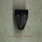 PANTOMIME JAZZ Underlying album cover