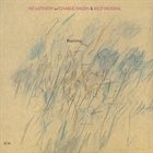 PAT METHENY Rejoicing (with Charlie Haden & Billy Higgins) album cover