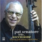 PAT SENATORE Ascensione album cover