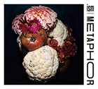 PAT THOMAS ISM (Pat Thomas / Joel Grip / Antonin Gerbal) : Metaphor album cover