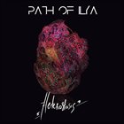 PATH OF ILYA Heterostasis album cover