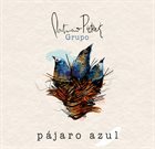 PATRICIO PIETREK Patricio Pietrek Grupo : Pajaro Azul album cover