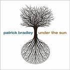 PATRICK BRADLEY Under the Sun album cover