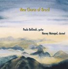 PAULO BELLINATI Paulo Bellinati, Harvey Wainapel : New Choros Of Brazil album cover