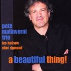 PETE MALINVERNI A Beautiful Thing! album cover