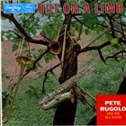PETE RUGOLO Out On A Limb album cover