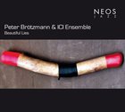 PETER BRÖTZMANN Peter Brötzmann & ICI Ensemble : Beautiful Lies album cover