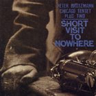 PETER BRÖTZMANN Short Visit to Nowhere album cover
