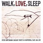 PETER BRÖTZMANN Walk, Love, Sleep album cover