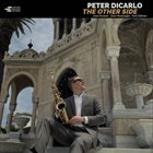 PETER DICARLO The Other Side album cover