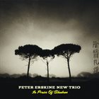 PETER ERSKINE In Praise Of Shadows album cover